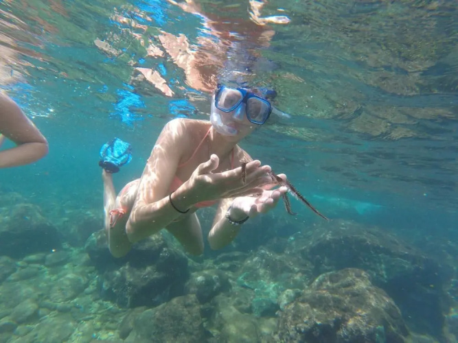 Angel Fish Cove