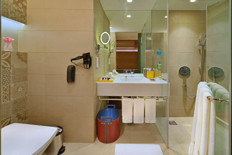 1 Bedroom Suite