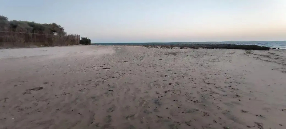 Villa Nature