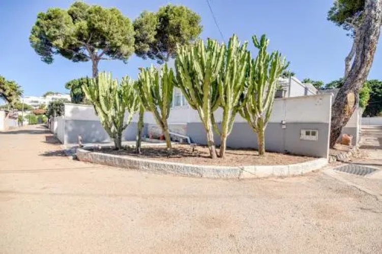 Modern House Costabella