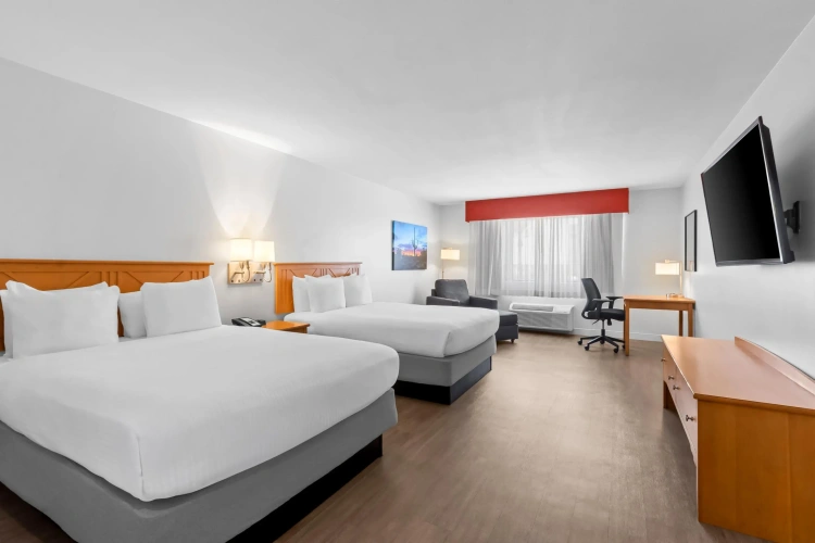 Executive Quadruple room