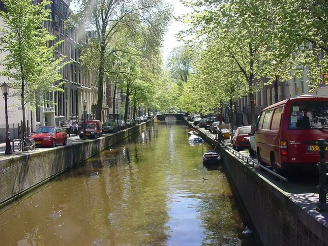 Botel Zebra
