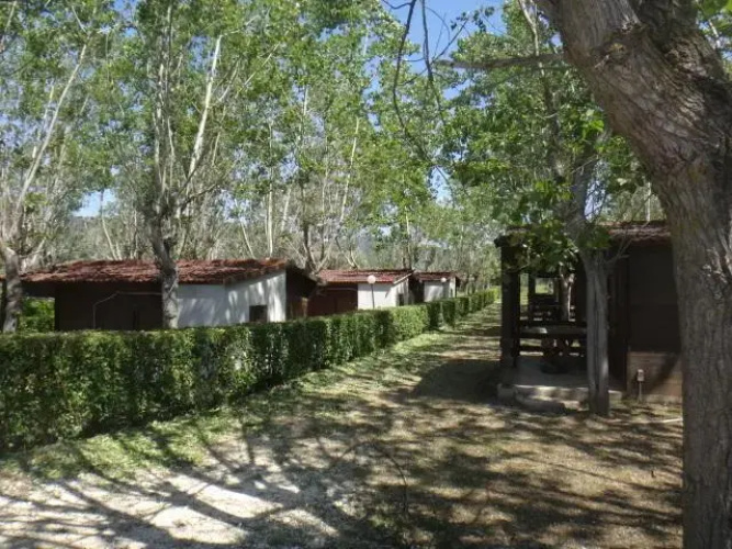 Citrigni
