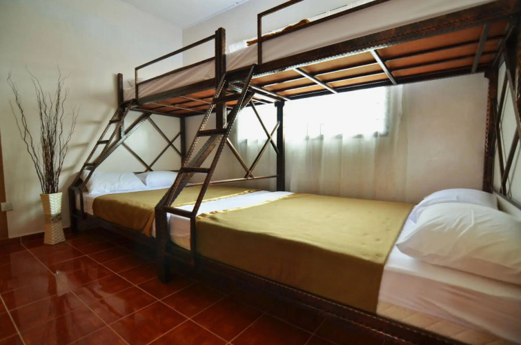 Camelia House