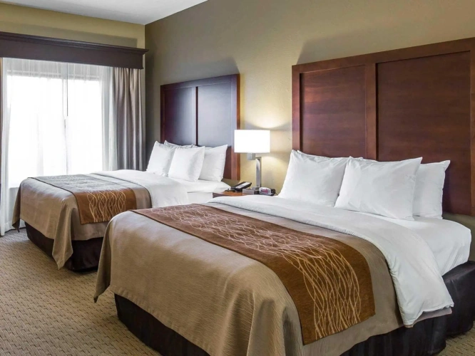 Standard Quadruple room