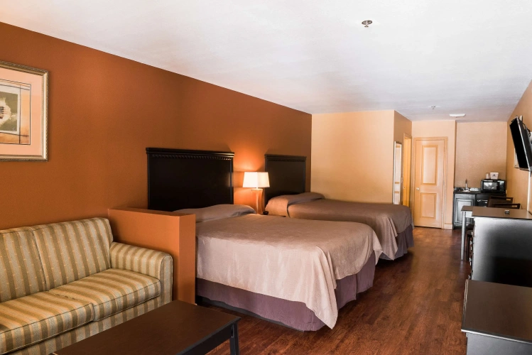 Quadruple Suite