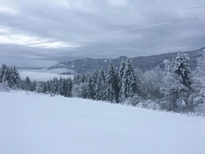 Naturgut Gailtal