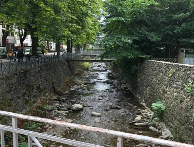 Katzentraum