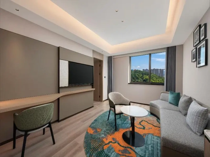 1 Bedroom Suite