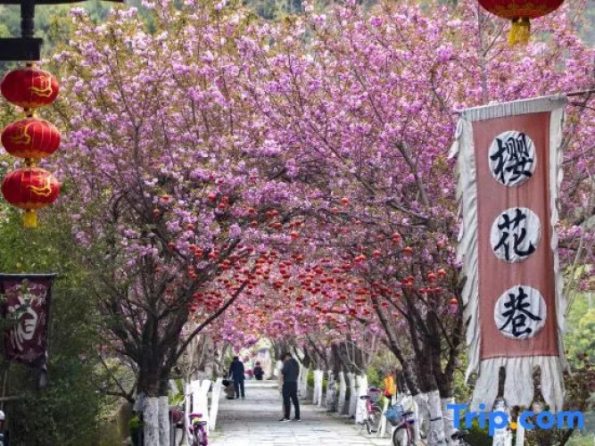 Xi Yuelai Hotel