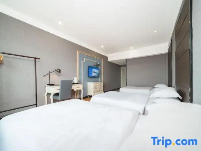Standard Triple Family room