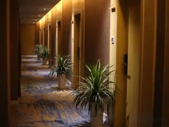 Hotel rooms