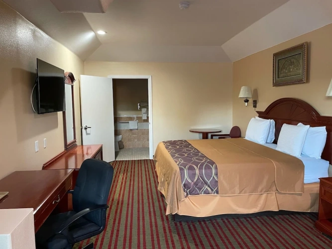 Standard Double Suite