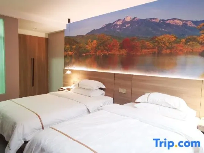 1 Bedroom Suite