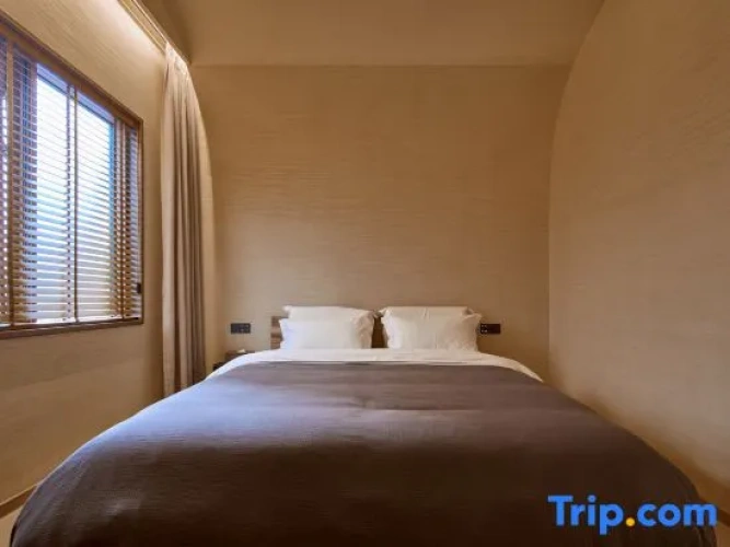 Luxury Double room