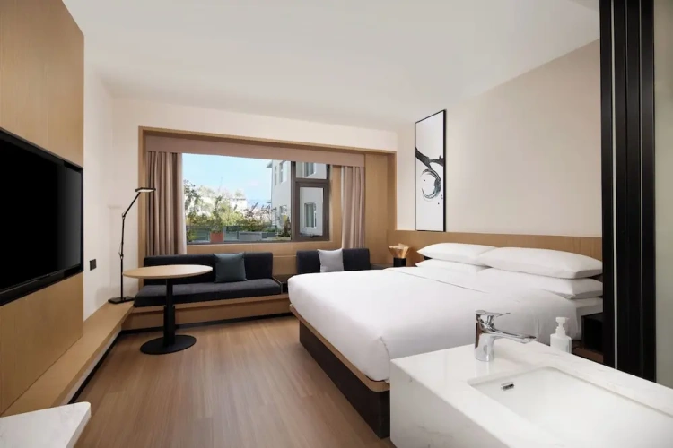 Standard Double room with city view
