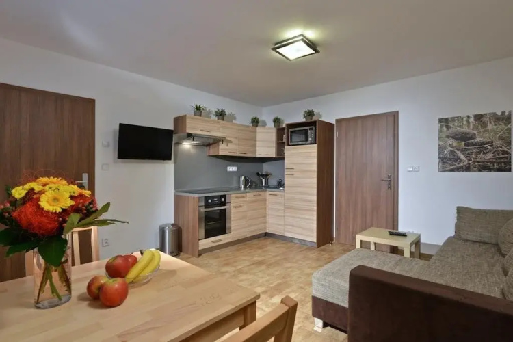 Apartmány 294