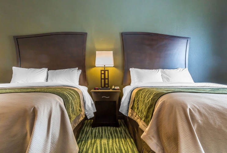 Quadruple Suite