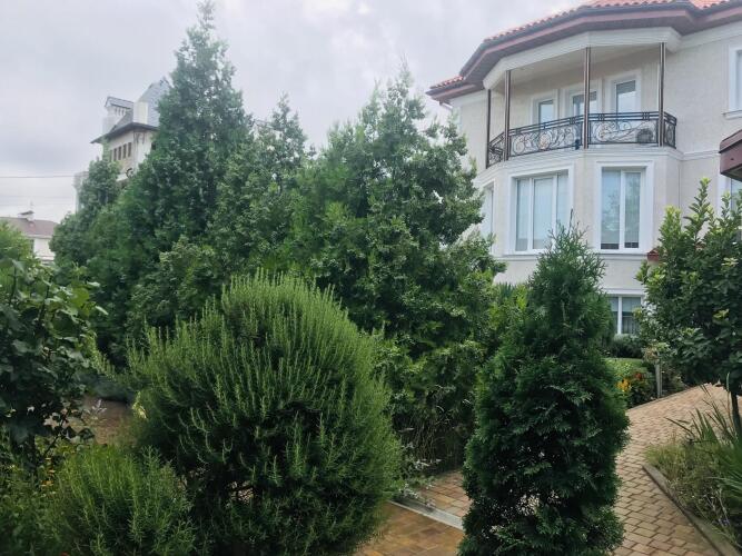 Легкий бриз