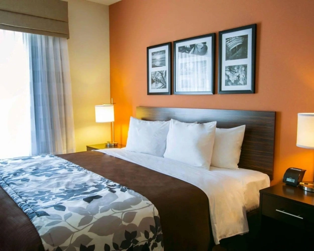 Standard Double room