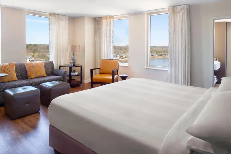 Double Junior Suite with river view