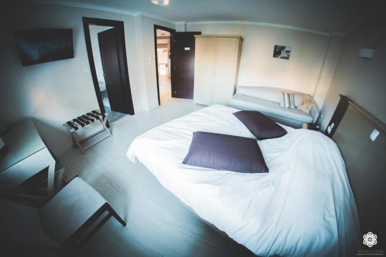 Standard Twin room with balcony and with mountain view