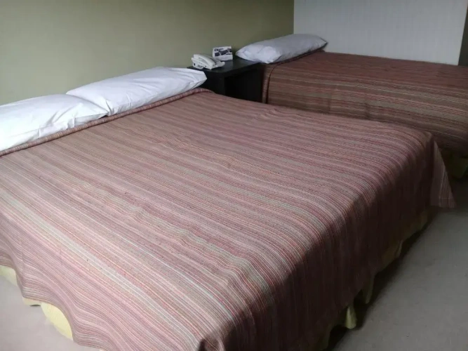 Standard Double room with view