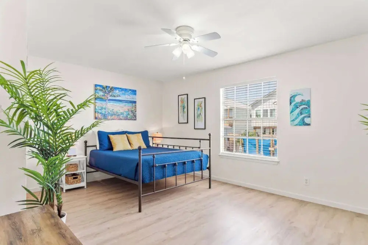 Tranquil Turquoise: Pet Friendly