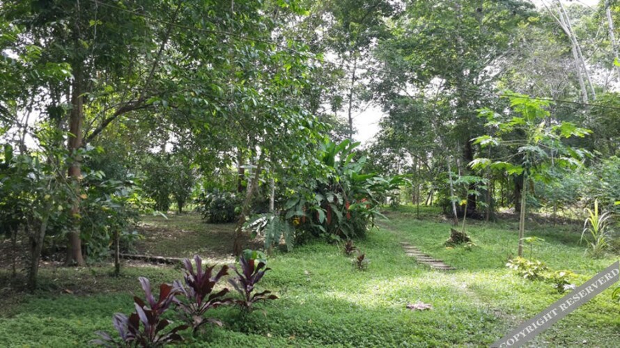 Tambopata EcolodgeOver view