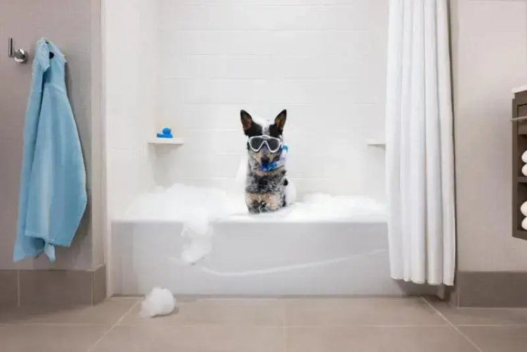 Home2 Suites By Hilton Winter Garden