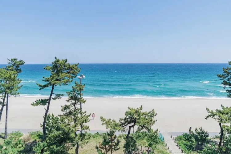 Standard Double room with ocean view