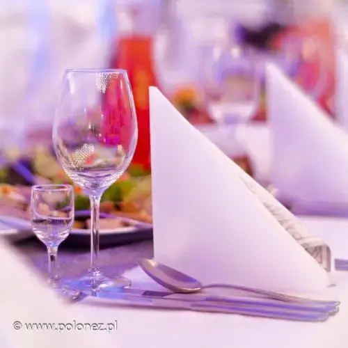 Hotel Polonez