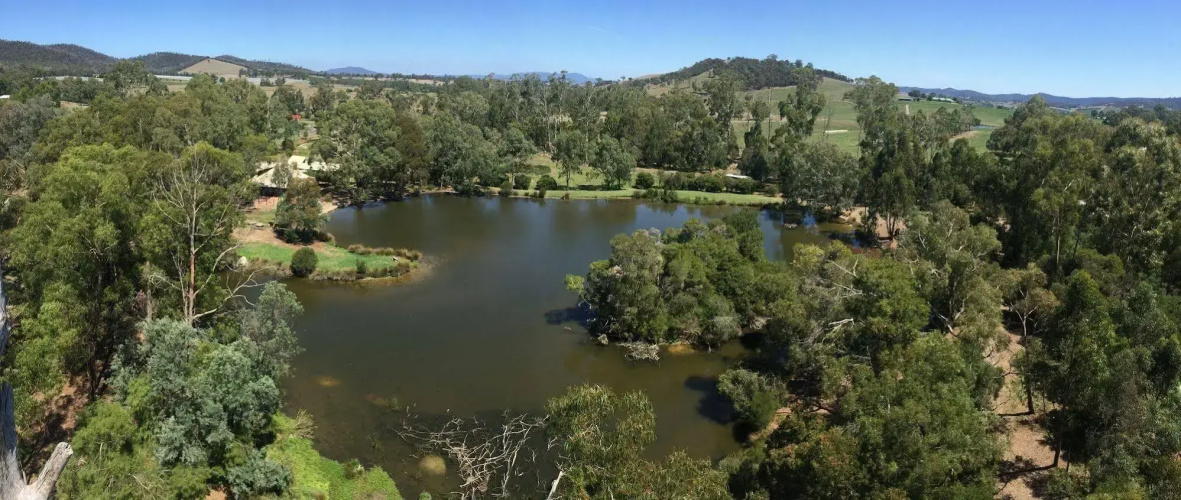 The Burrow At Wombat Bend