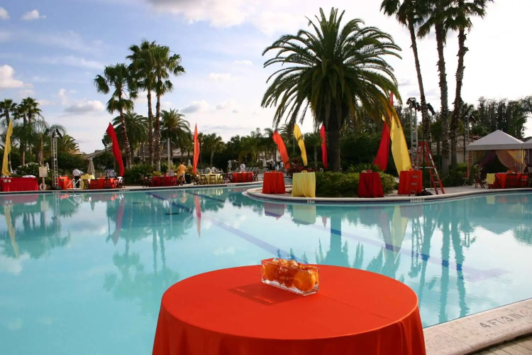 Saddlebrook Resort Tampa photo 17