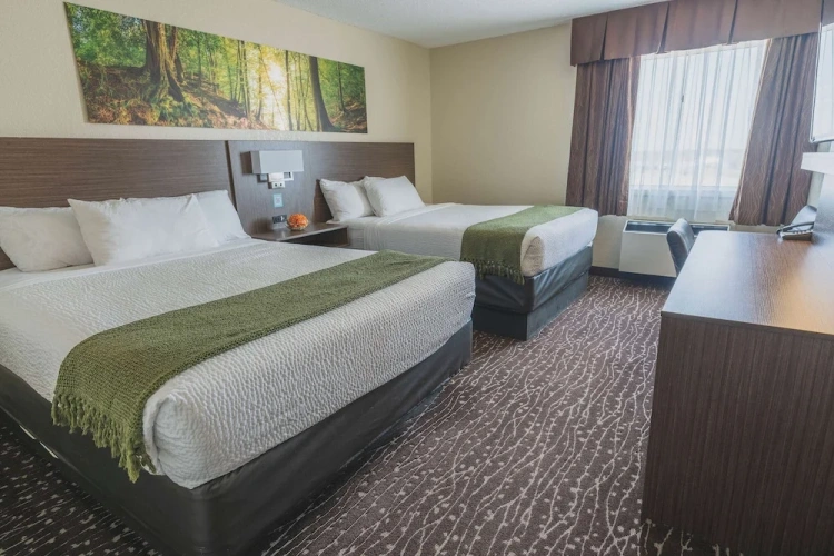 Standard Quadruple room