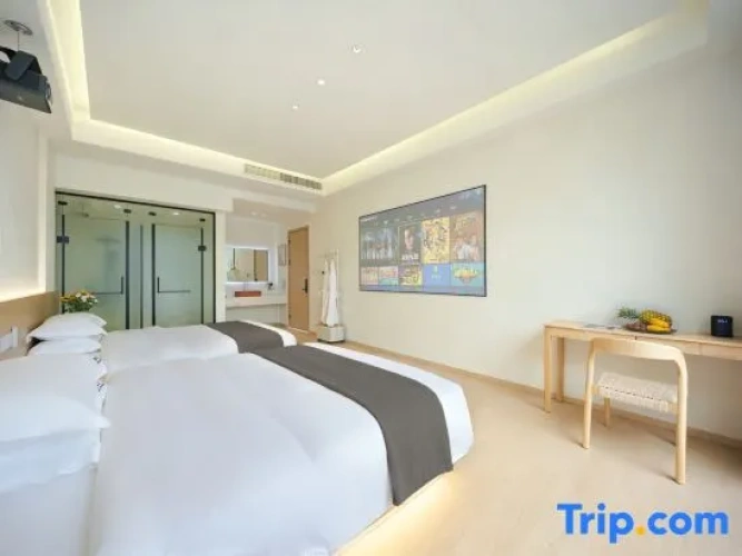 Standard Twin room with land view