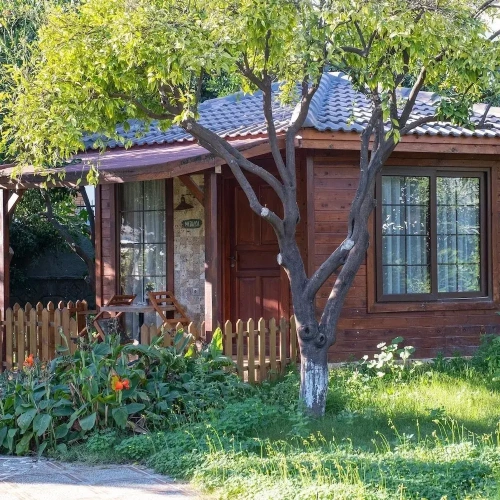 Bungalow with garden view