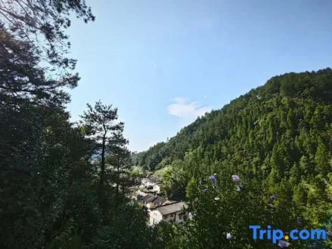 Sierxing Yangxin Inn