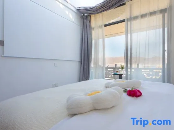 Standard Double room with view