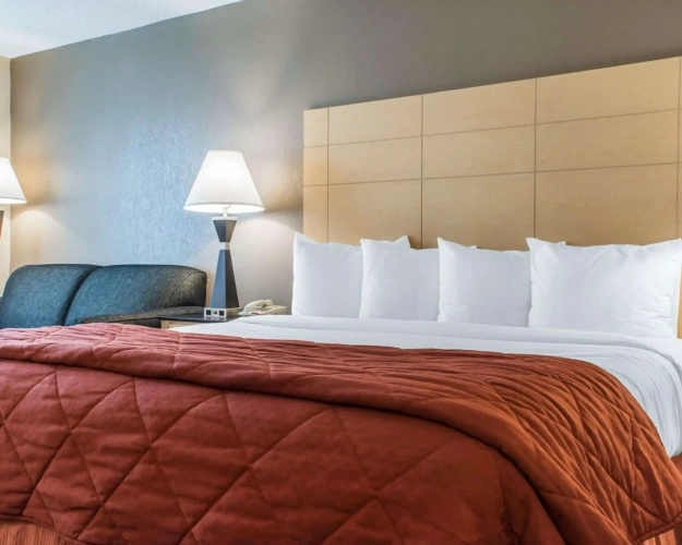 Standard Double room