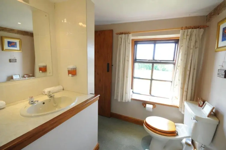 Standard Double room with garden view