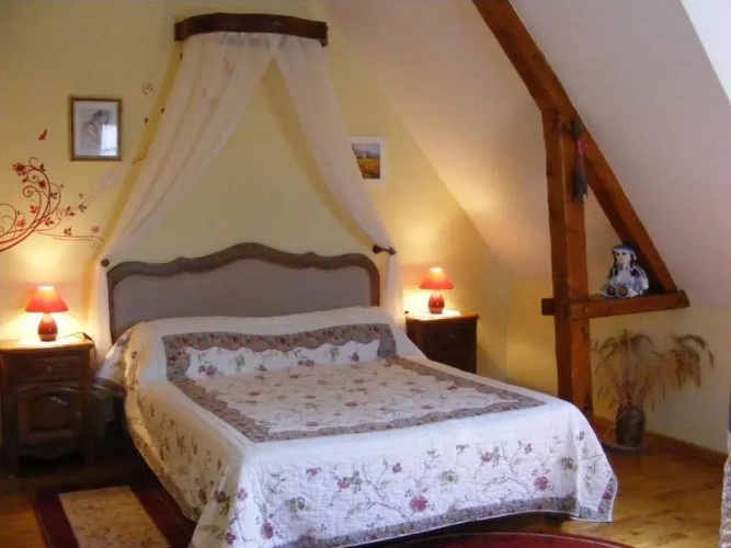 Standard Double room with garden view