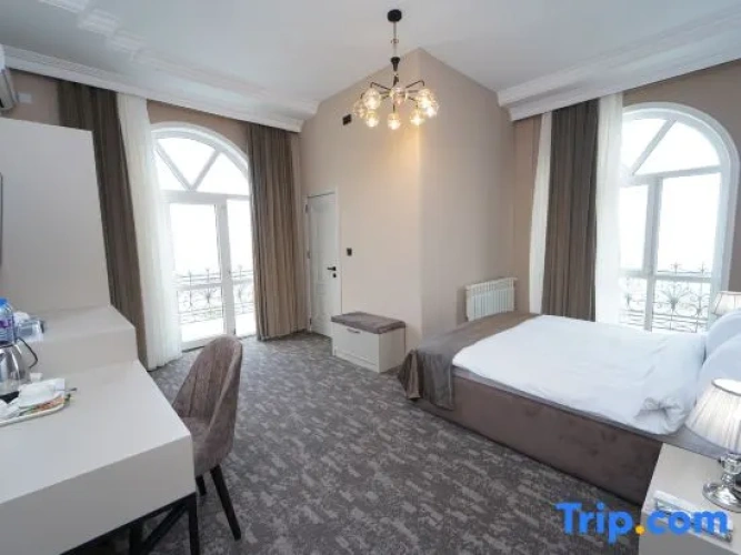 Standard room with view