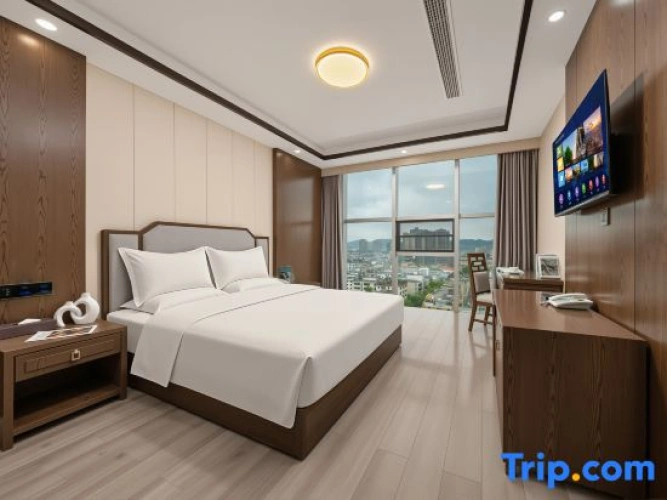 Standard room with city view