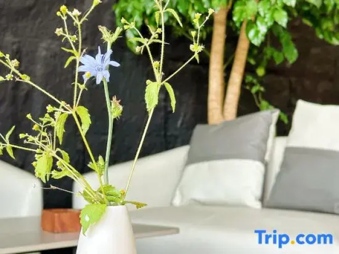 SHEJING Homestay