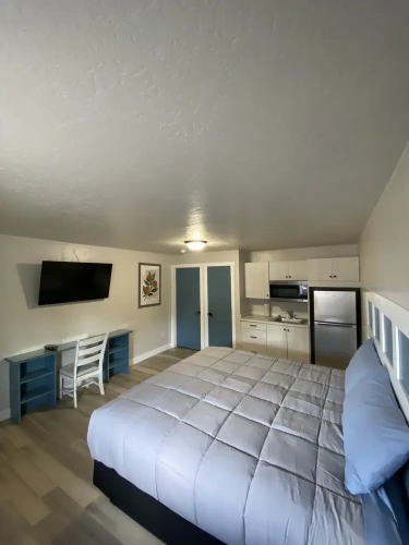 Luxury Suite