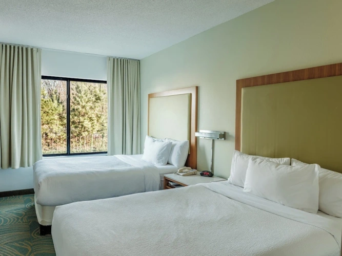 Quadruple Suite