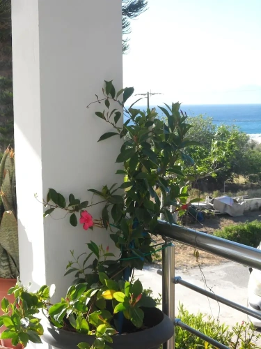 1 Bedroom Apartment with balcony and oceanfront
