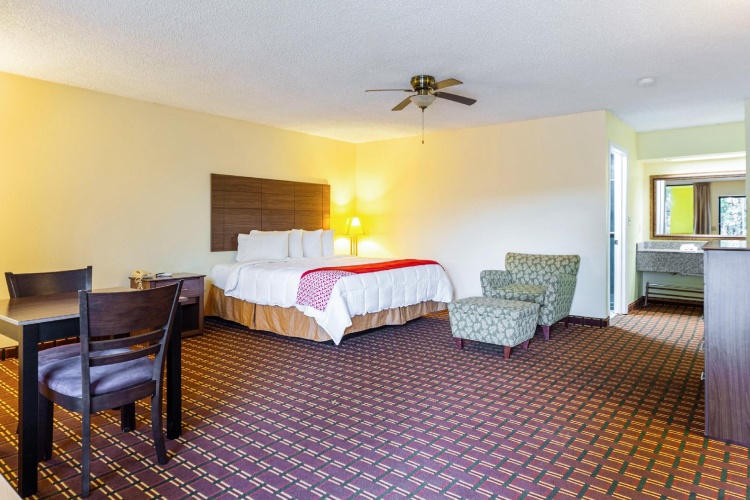 1 Bedroom Suite