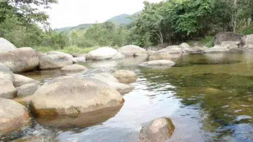 Apartamento - Maranduba
